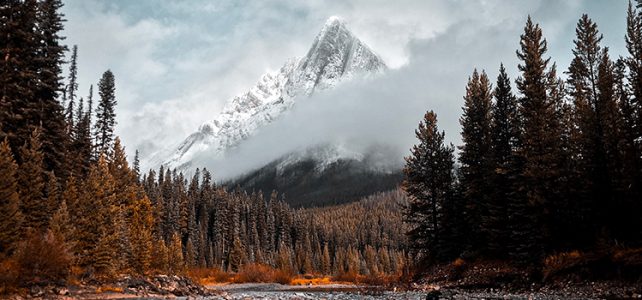 Trekking to the Himalayas